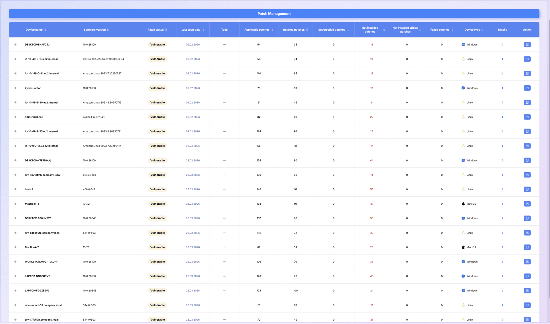Patch Details Table - Track patch status across all assets